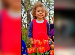 В Николаевской области 2-летняя девочка играла возле дома и пропала: как помочь в поисках
