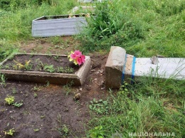 В Запорожской области мужчина разворотил больше десяти могил на кладбище