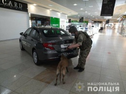 В Харькове из-за сообщения о минировании ТРЦ эвакуировали 350 человек, - ФОТО