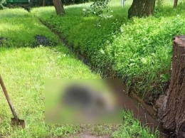 Опознала дочь: подробности о найденных в ливневом канале останках мужчины