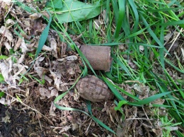В Криворожском районе нашли снаряд и гранаты