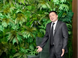 "Зеленая" стена в офисе Зеленского обошлась минимум в 98 тысяч грн