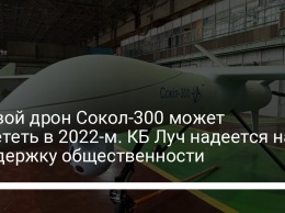 Боевой дрон Сокол-300 может взлететь в 2022-м. КБ Луч надеется на поддержку общественности