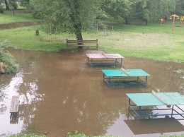 Что сейчас происходит в парке Глобы после вчерашней бури: реки на аллеях и поваленные деревья