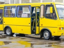 Льготы на поездку в маршрутках получили несколько социальных категорий граждан в Новотроицкой громаде
