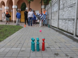 В Мелитополе проходит уникальная "черешневая" спартакиада