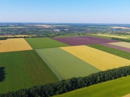 Агропроизводители Харьковщины засеяли сельскохозяйственными культурами 1,8 млн га