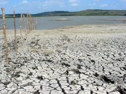 В ООН предупредили об опасности засухи