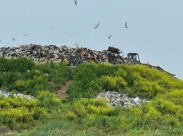 Экологическая инспекция проверяет в Кривом Роге компанию, вывозящую мусор