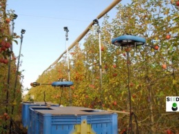 Не ест, не спит, не сачкует. В Израиле представили беспилотных роботов для сбора фруктов (ВИДЕО)