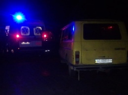 В Днепропетровской области РАФ вылетел в кювет и врезался в дерево: пострадали взрослый и ребенок
