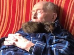 Трогательная дружба 100-летнего дедушки и котенка покорила интернет