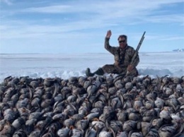 «Единая Россия» приостановила членство депутата из-за фото с гусями