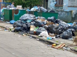 Одна из улиц Херсона превратилась в мусорную свалку: горожане бьют тревогу