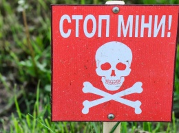 Пророссийские террористы на Донбассе подорвались на собственной мине