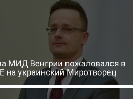 Глава МИД Венгрии пожаловался в ПАСЕ на украинский Миротворец