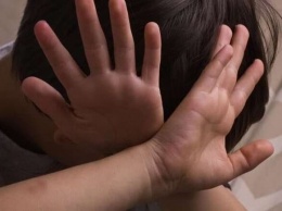 В элитном детском лагере: под Харьковом третьеклассник изнасиловал ребенка, - СМИ