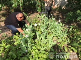 В Николаевской области полиция утихомиривала сына-тирана и накрыла его подпольный бизнес