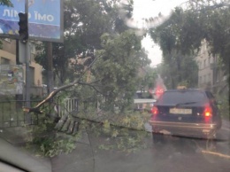 Над Львовом пронеслась буря: улицы затоплены, электротранспорт не работает