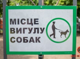 В Днепре хотят построить площадки для выгула собак: список адресов