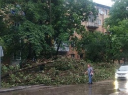 Шторм в Украине - 811 обесточенных населенных пунктов и пострадавшие (ВИДЕО)