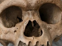В Китае обнаружили череп неизвестного науке древнего "человека-дракона"