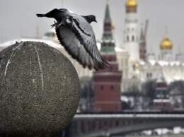 Представители ПАСЕ прибудут в Россию с проверкой ее международных обязательств