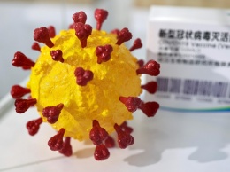 Ученые нашли эпидемию коронавируса 20 тысяч лет назад