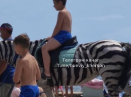 В Скадовске отдыхающих катали на лошади, перекрашенной в зебру