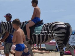 В Скадовске лошадь перекрасили в зебру ради заработка на пляже - одни катались, другие возмущались (ФОТО)