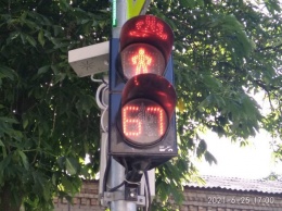 В Павлограде новый светофор лишил пешеходов разума