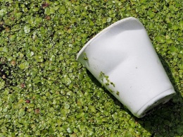 Отечественные ученые создали новый вид биоразлагаемого пластика