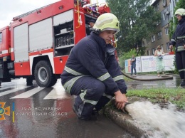Последствия непогоды в Запорожской области: затопленные подвалы и деревья на машинах - фото