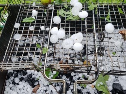 Помидоры, лук и малина погибли: вчерашний град в Днепре уничтожил урожай (ФОТО)