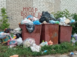 Крысы, мухи и вонь: оккупированный Луганск утопает в мусоре (фото)