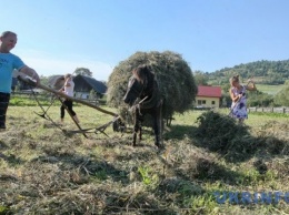 2 июля: народный календарь и астровестник