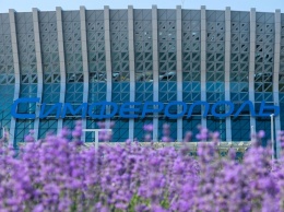 В аэропорту Симферополь расцвело более 19 тыс. кустов лаванды