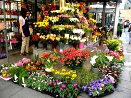 Купить цветы в Харькове. В каких районах города можно приобрести букеты и не только, - ФОТО