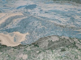 Каховское водохранилище покрылось отвратительной «жижей» - что происходит