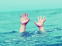 В Кривом Роге 9-летний ребенок утонул в пруду, его младшего брата спасают медики