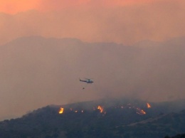 На Кипре из-за лесных пожаров погибли четыре человека