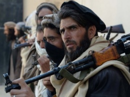 На фоне вывода войск США из Афганистана талибы взяли без боя 8 из 10 округов
