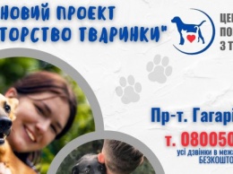 "Кураторство животного": Харьковчанам предлагают стать опекунами животных