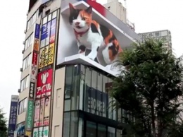 В Токио установили билборд с огромным мяукающим 3D-котом