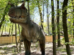 Грозные хищники и гигантские травоядные: кого можно встретить в "Планете динозавров" на ВДНГ