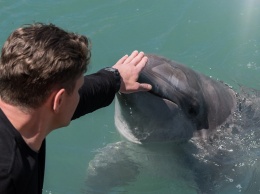 Сергей Жарков вернется к «Дельфину» на черноморское побережье