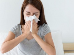 Почему запорожцы страдают аллергией