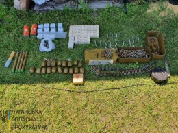 Жителя села на Луганщине задержали за хранение боеприпасов и взрывчатки