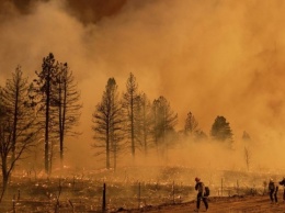 В Калифорнии на фоне аномальной жары бушуют лесные пожары