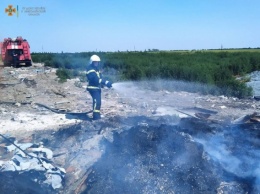 Неизвестные на Николаевщине устроили пожары на площади два гектара